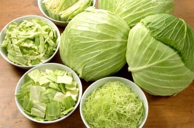 Can You Make Kimchi With Regular Cabbage?